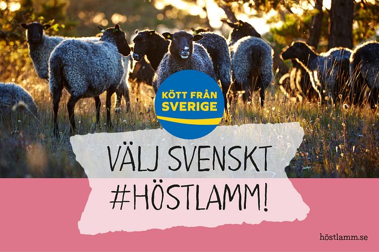 Kampanj #Höstlamm 2019