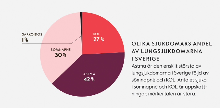 Lungrapporten 2017: Lungsjukdomarnas andelar