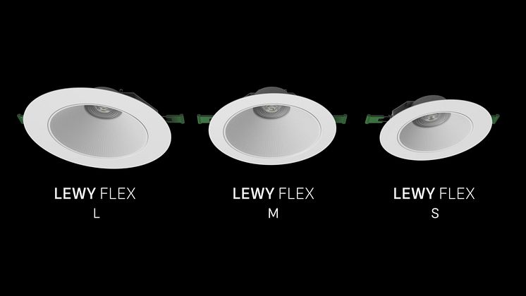 Lewy-Flex-06