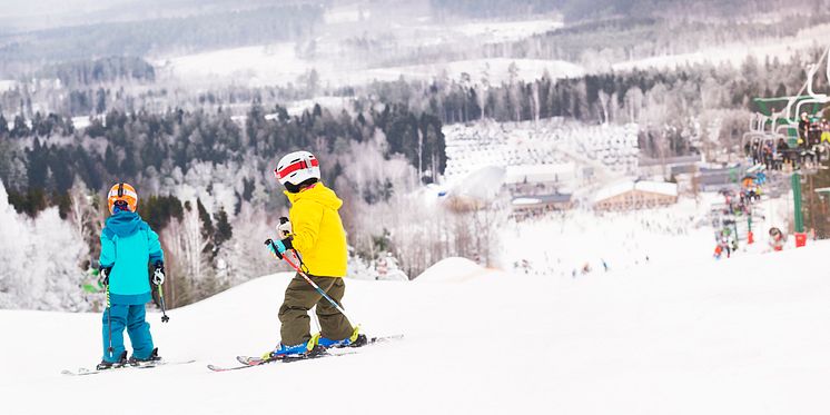 Härliga Vallåsen