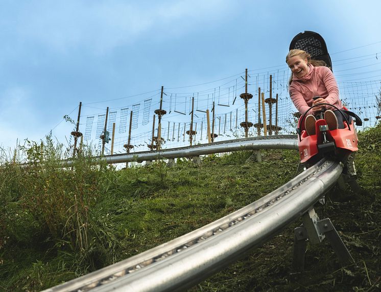 Mountain Coaster 