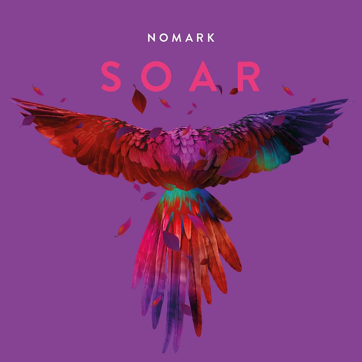 Cover soar