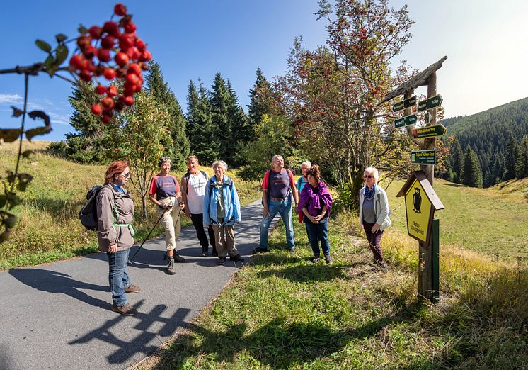 Wanderung_Wanderwochen_Gruppe_Oberwiesenthal Foto_TVE_UweMeinhold15.jpg