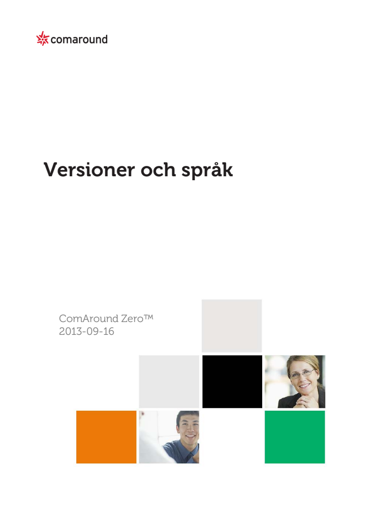 Versioner och Språk 2013