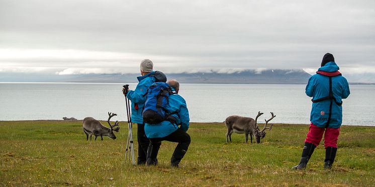 Complete-Spitsbergen-Expedition_Illustration-Photo_Alkhornet©Ester-Kokmeijer