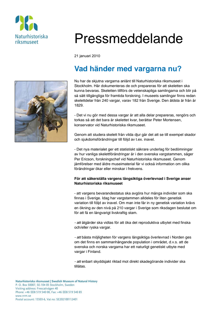 Vad händer med vargarna nu?