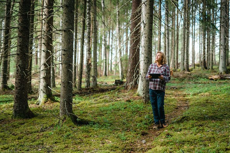 Tjej i skogen_Ecotype