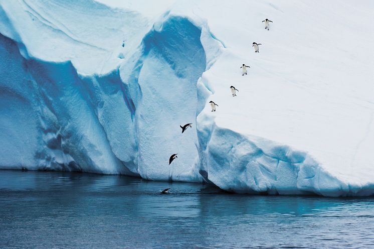 Penguins_Antarctica_HGR_147522_Photo_Getty_Images.JPG