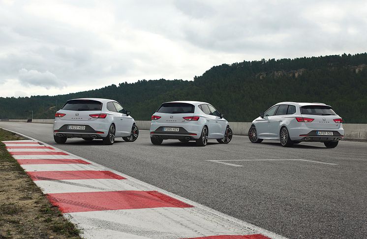 Leon Cupra Model Familie