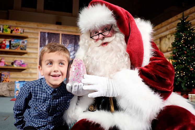 Hatchimals with Santa