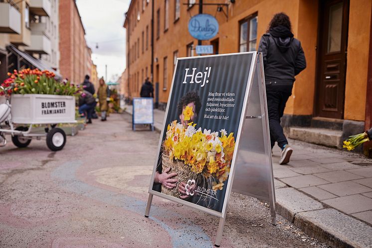 Gatufest_vårhyacint_tete a tete_tulpan_2022