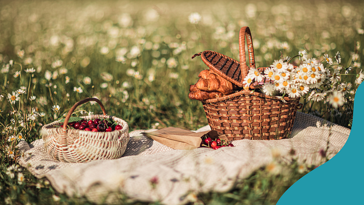 picknick_södermanland