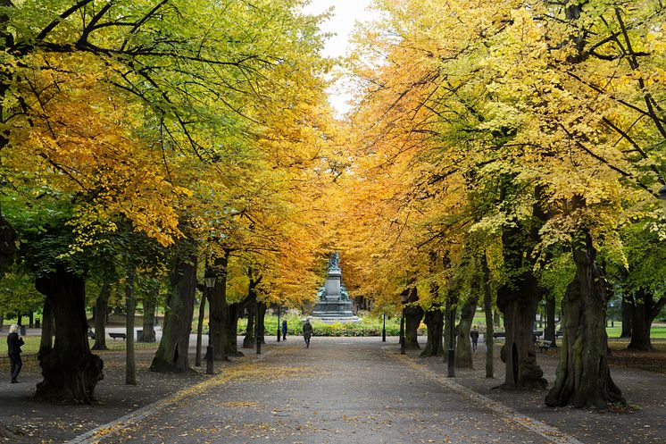 Före Humlegården i Stockholm blev ett kalhygge