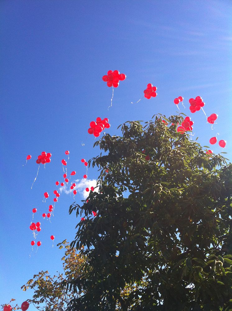 Lika många ballonger som lägenheter