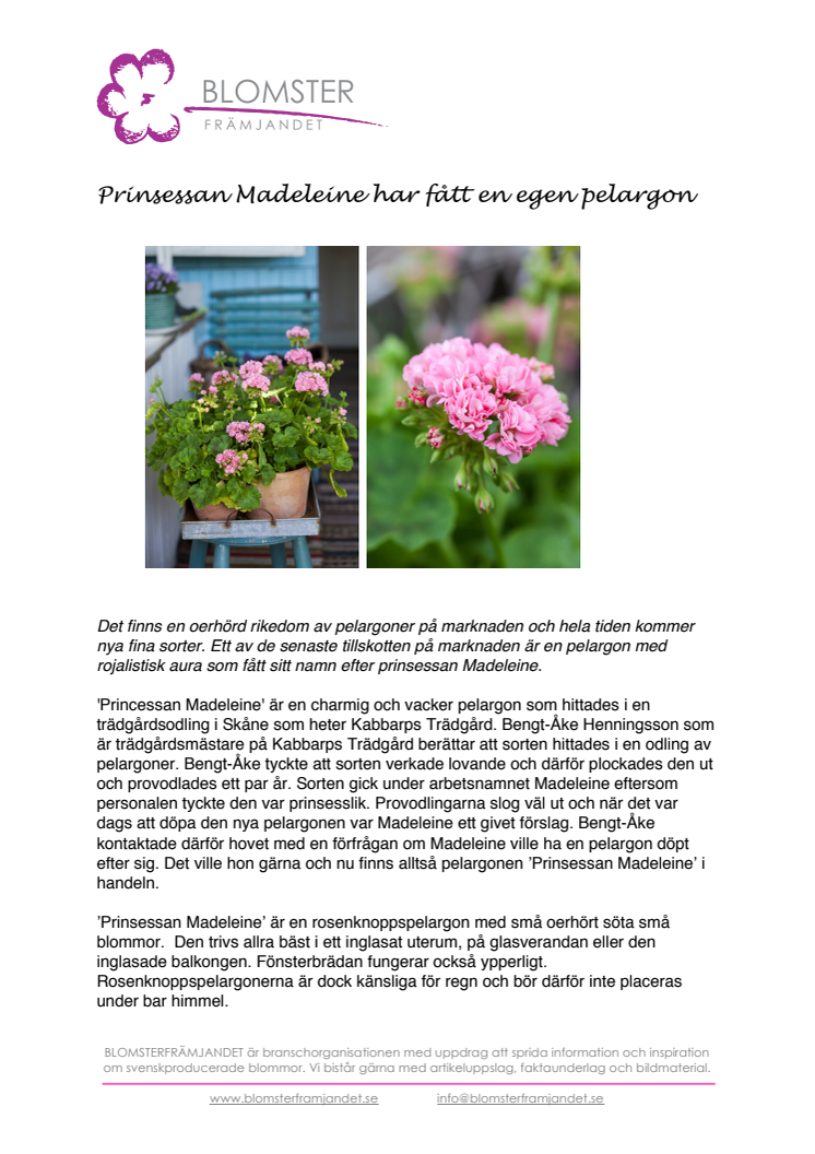 Prinsessan Madeleine har fått en egen pelargon