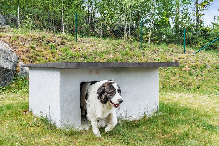 Bygg et isolert hundehus i betong 2