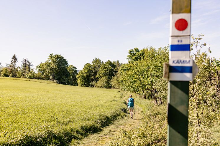 Kammweg Erzgebirge-Vogtland_Foto TVE_Franziska Consolati