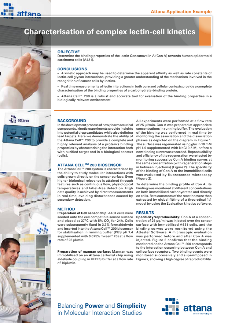 Attana Application Note: Characterization of complex lectin-cell kinetics