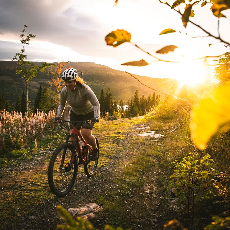 MTB Åre XC Arena