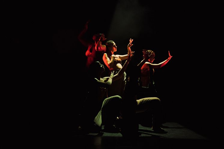 Company Nicolas Huchard - The barefoot diva
