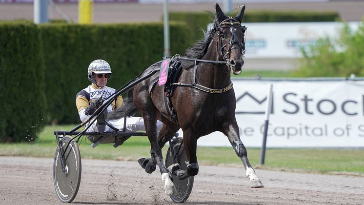 Önas Prince och Per Nordström Foto TR Bild