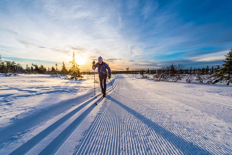 Knallbra føre til årets Trysil Skimaraton