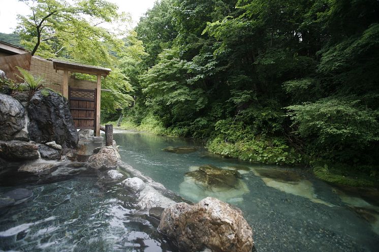 Honke Bankyu(3)  Fujikura no Yu outdoor bath