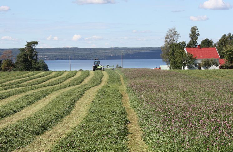 Lantbruk och trädgårdsnäring är avgörande för samhället.