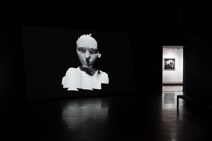 Tove Kjellmark, Inside, video installation (2018)