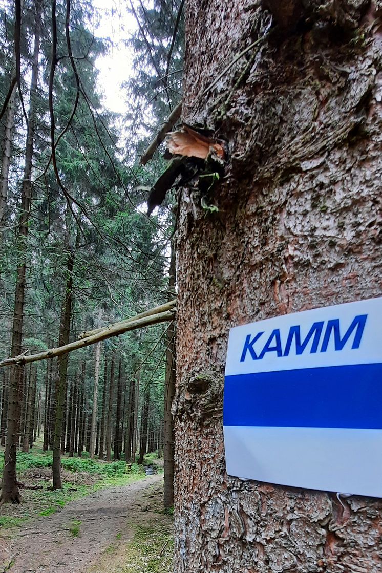 Markierung am Kammweg Erzgebirge-Vogtland_Foto TVE