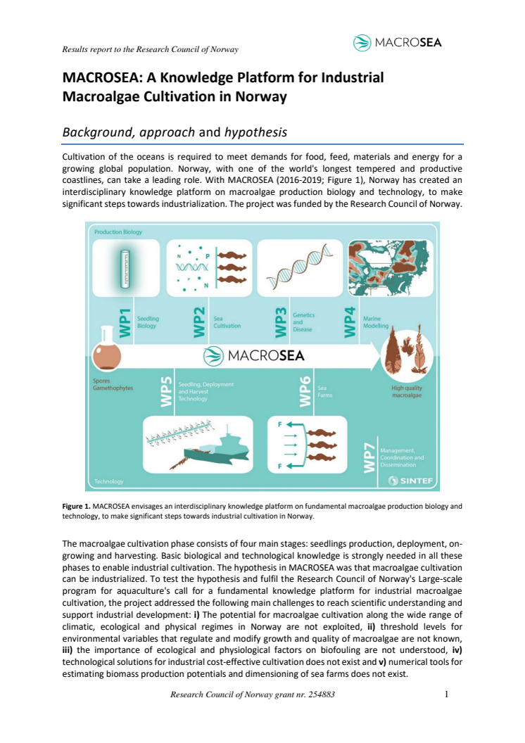 MACROSEA sammendrag