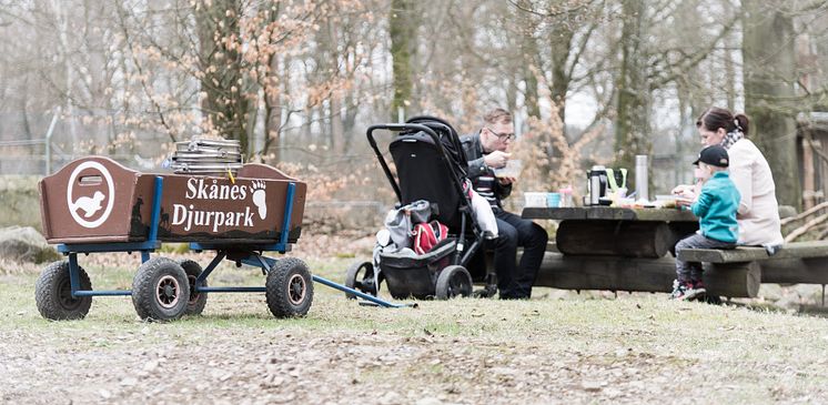 Grillarna runt om i parken står tända under sportlovet