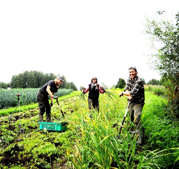 Hof Rekola in Finnland_Sektion fuer Landwirtschaft am Goetheanum.jpg