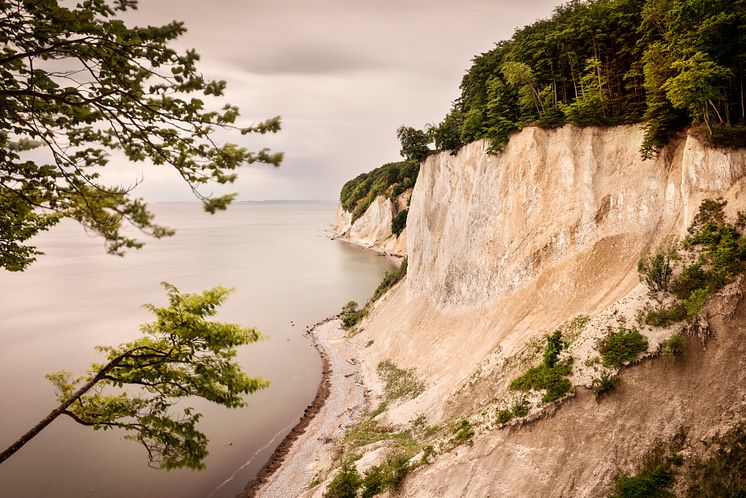 ﻿﻿﻿Sassnitz: Kridtklipper ved ﻿Jasmund Nationalpark på øen Rügen