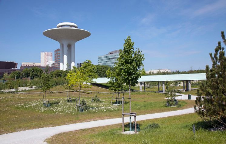 Dagvattenparken i Hyllie, Malmö