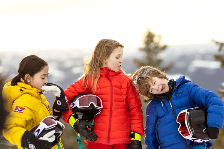 Mini masterclasses in alpine skiing in Norway - online