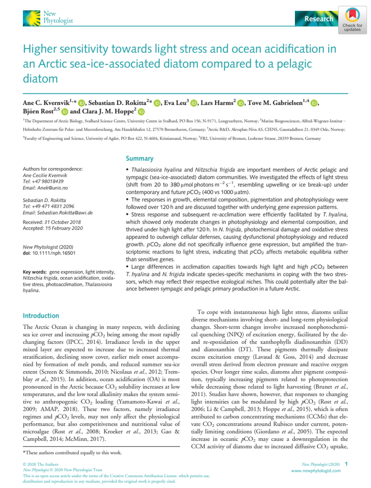 New Phytologist Kvernvik et al_2020 (1).pdf