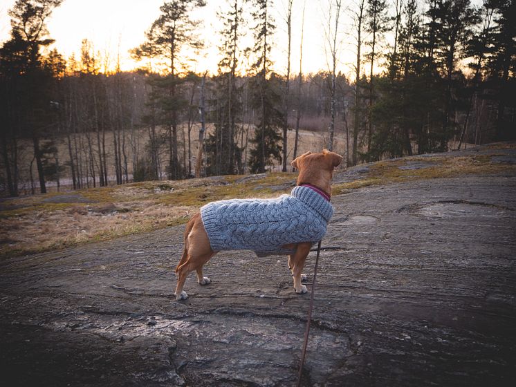 Basic Wool plait sweater grey dog.jpg