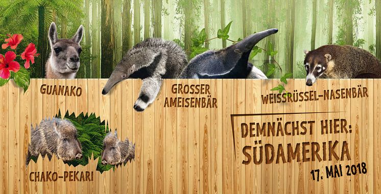 Südamerika im Zoo Leipzig - Tierbesatz