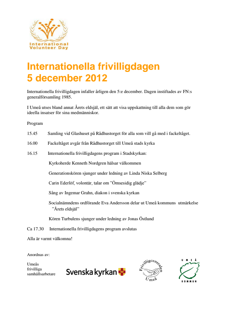 Program internationella frivilligdagen