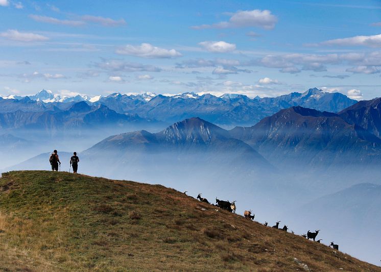 High quality-Hike Ticino - Bogno - San Lucio - Monte Bar - Corticiasca-Copyright Ticino Turismo, Foto Remy Steinegger, solo uso turistico , no commerciale