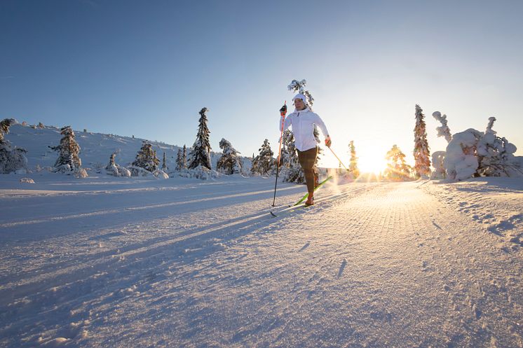 Vemdalen SkiStar Cross-Country Arena Charlotte Kalla-foto SkiStar