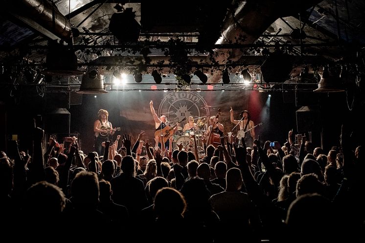 Steve 'n' Seagulls live 2021