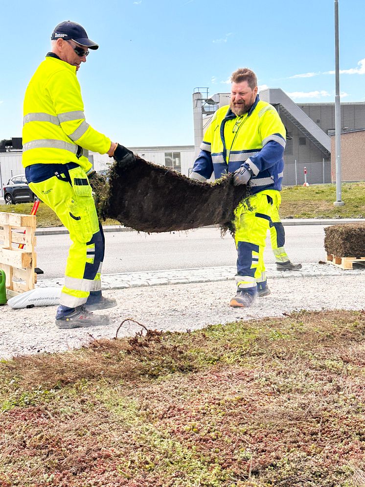 Verkörondell Karlskrona (4)