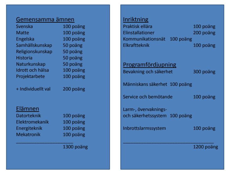 PROGRAMPLAN SÄKERHETSGYMNASIET GY11