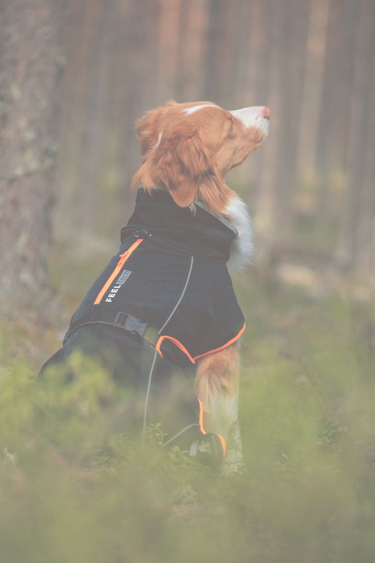 Feel_Tech_Kiruna_raincoat_lifestyle_back