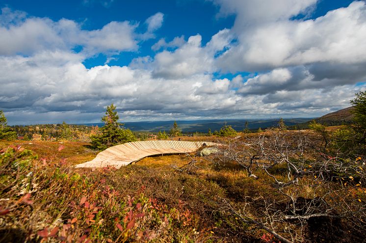 Høyfjellssykling