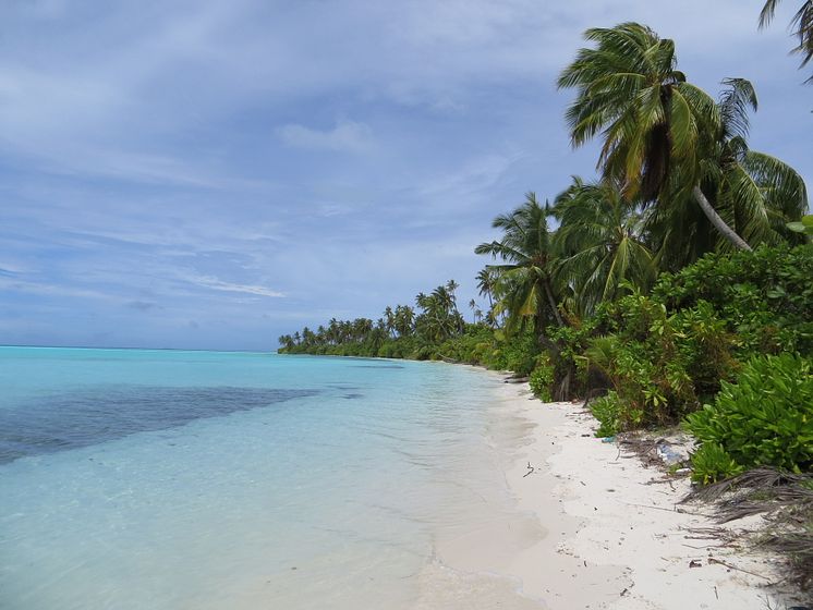 Mainadhoo island, one of the islands included in the study (Photo credit: Holly East)