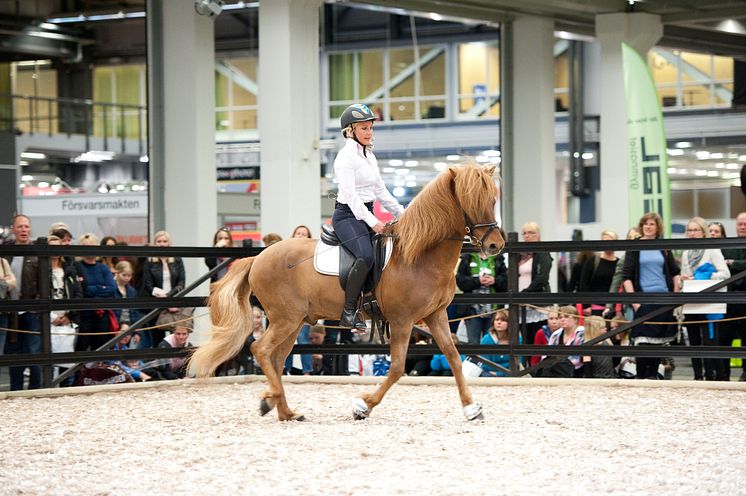 EuroHorse 2013