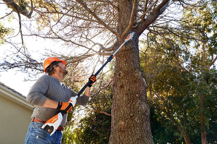 STIHL_HTA_50_Anwendung.jpg